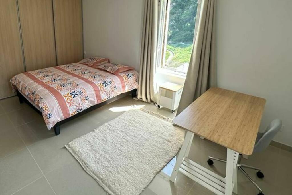 Cocoon 52 M2 New, Beautiful View Castle And Mountain Apartment Foix Exterior photo